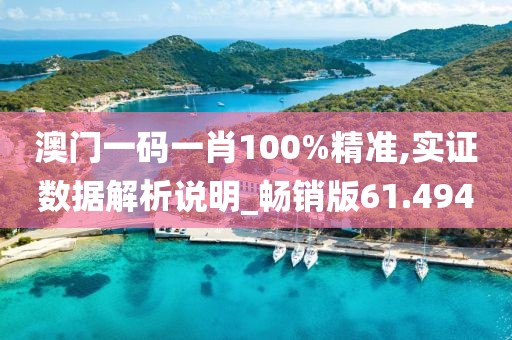 澳门一码一肖100%精准,实证数据解析说明_畅销版61.494
