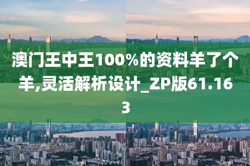 澳门王中王100%的资料羊了个羊,灵活解析设计_ZP版61.163