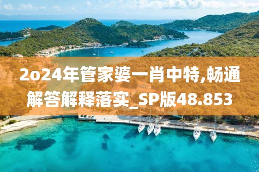 2o24年管家婆一肖中特,畅通解答解释落实_SP版48.853