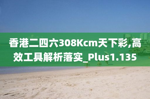 香港二四六308Kcm天下彩,高效工具解析落实_Plus1.135