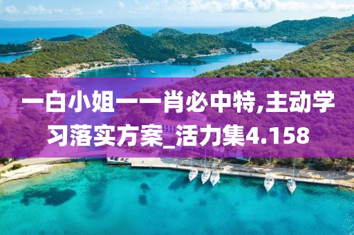 一白小姐一一肖必中特,主动学习落实方案_活力集4.158