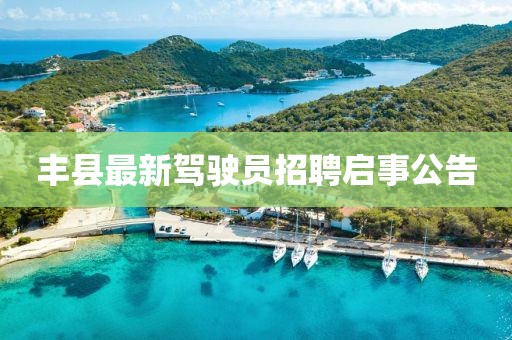丰县最新驾驶员招聘启事公告