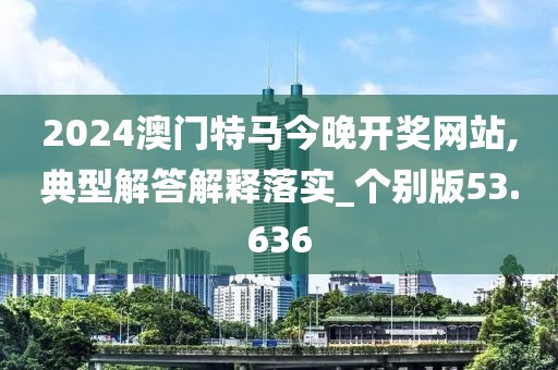 2024澳门特马今晚开奖网站,典型解答解释落实_个别版53.636