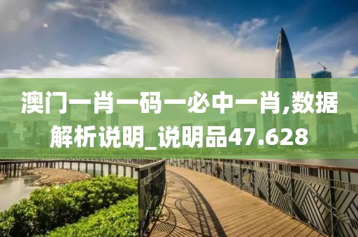 澳门一肖一码一必中一肖,数据解析说明_说明品47.628