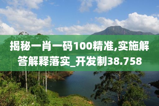 揭秘一肖一码100精准,实施解答解释落实_开发制38.758