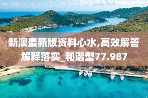 新澳最新版资料心水,高效解答解释落实_和谐型77.987