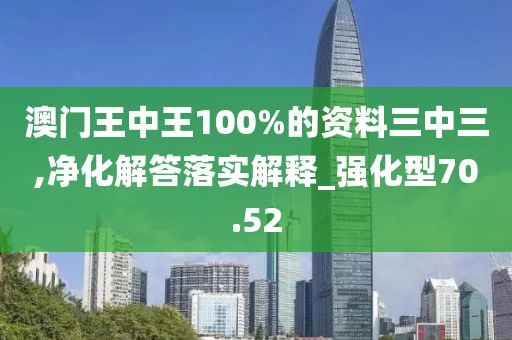 澳门王中王100%的资料三中三,净化解答落实解释_强化型70.52