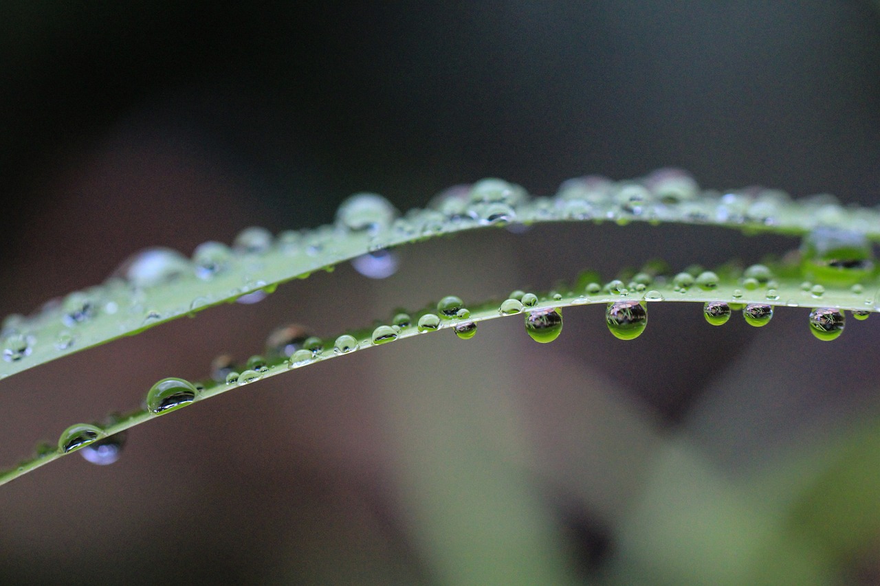 白露时节，秋意渐浓的韵味
