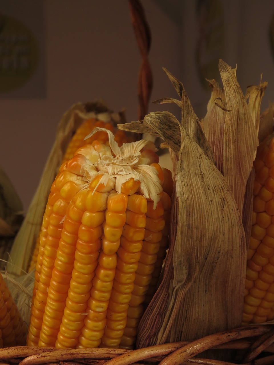 中储粮，国家粮食安全的坚实后盾保障