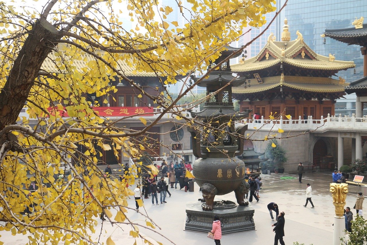 斯坦福大学，学术璀璨明珠的荣耀之地