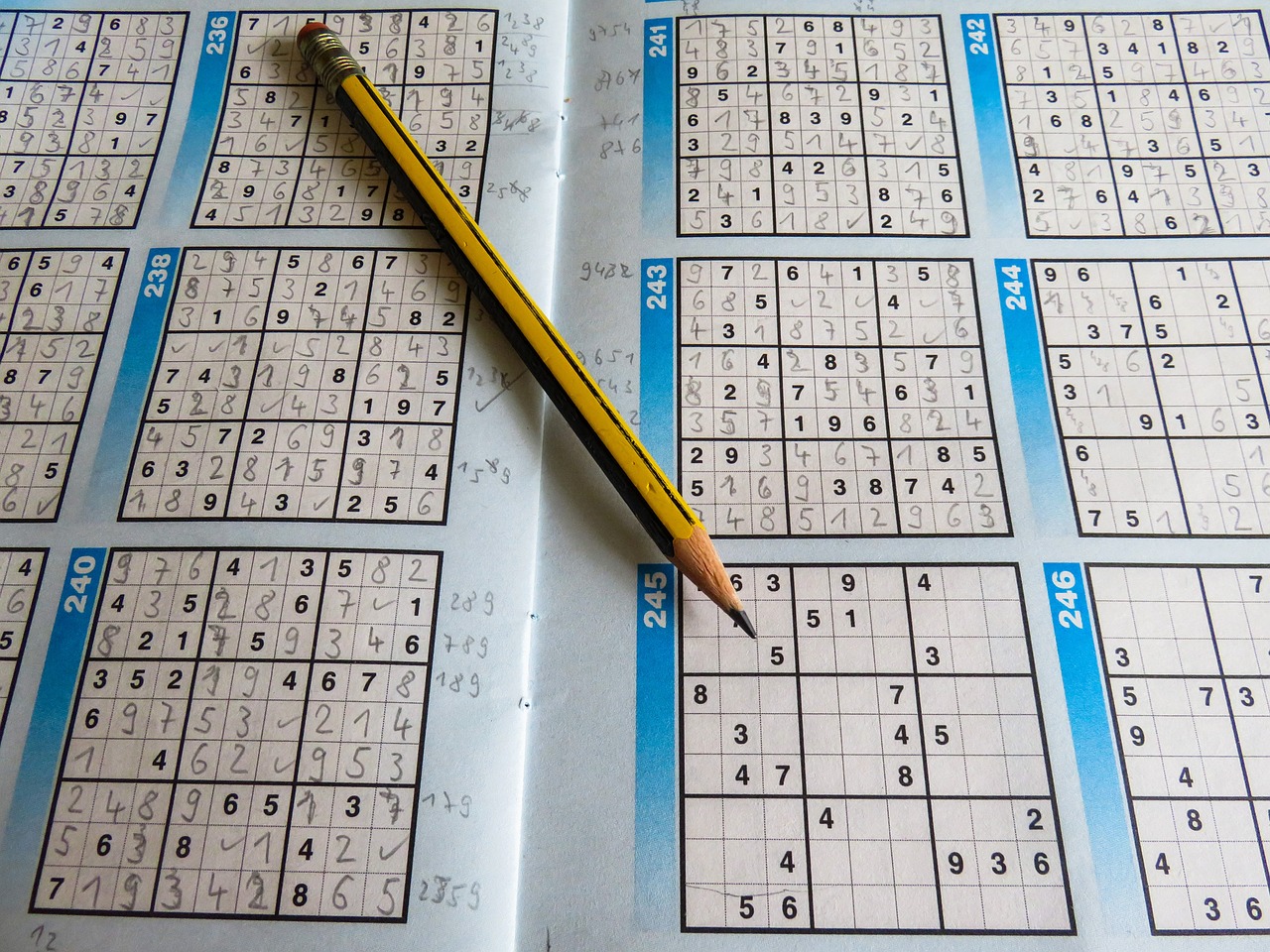 2024年新澳门天天开好彩大全,深化探讨解答解释策略_便宜版42.701