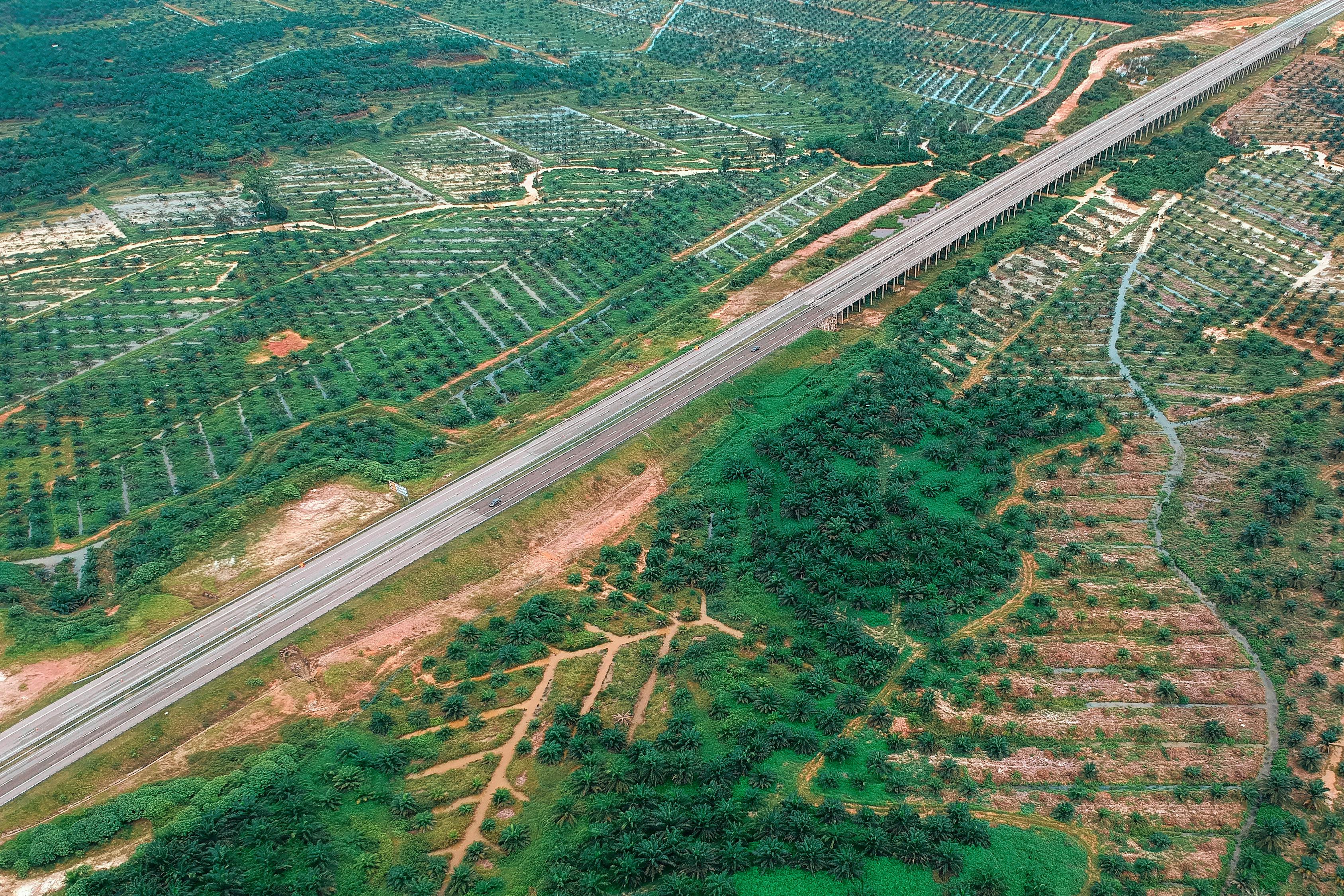 兴平道路最新规划，塑造未来城市发展蓝图