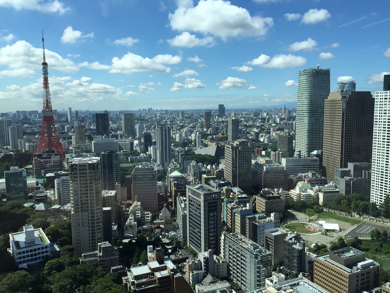 国统股份最新动态全面解析