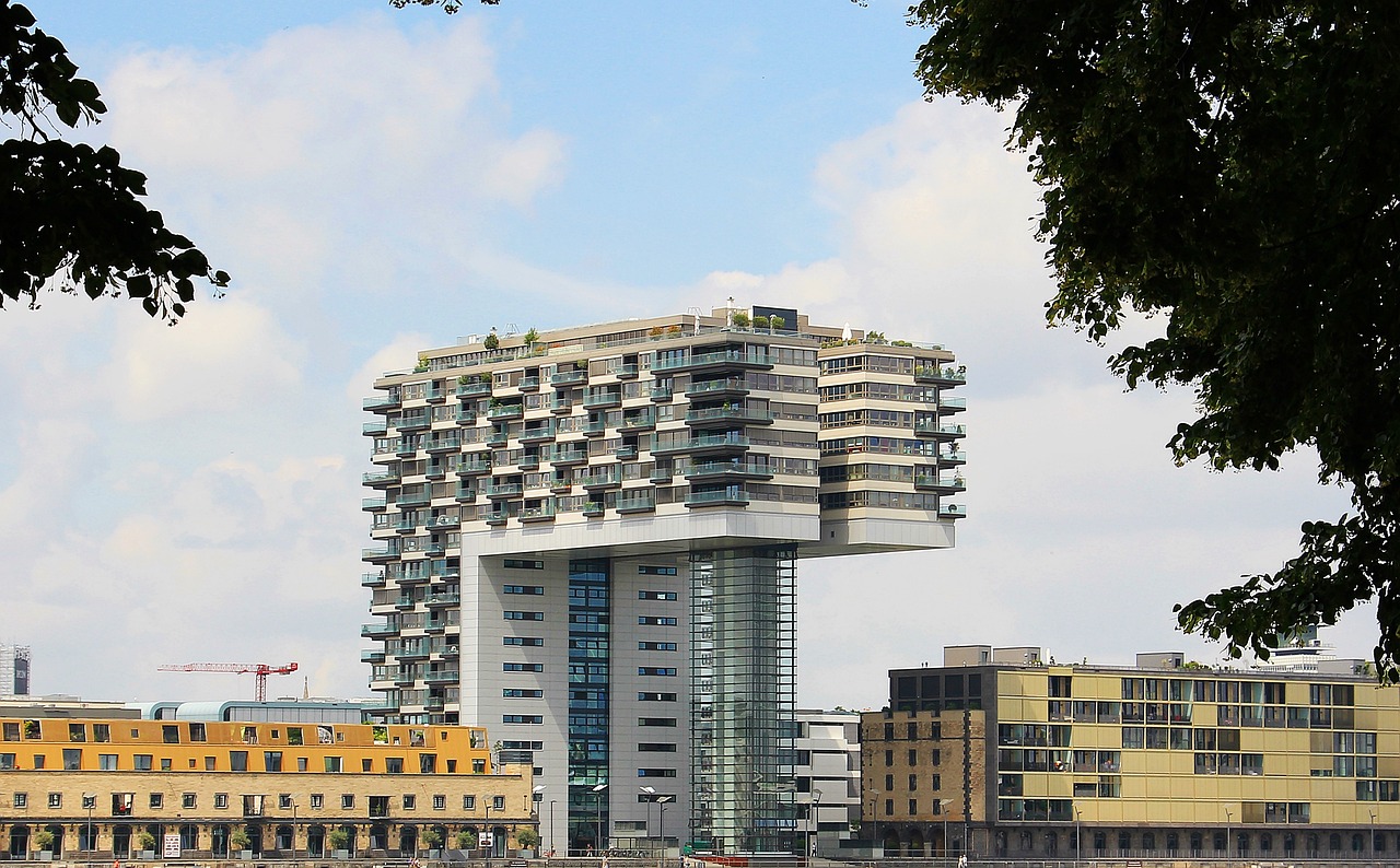 冭兲浈 第56页