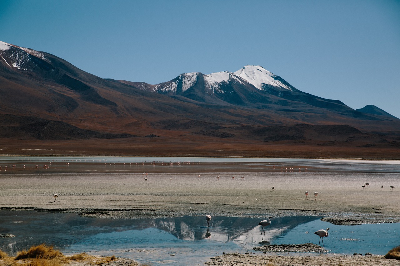俺去啦最新地址探索，未知旅程的启程点