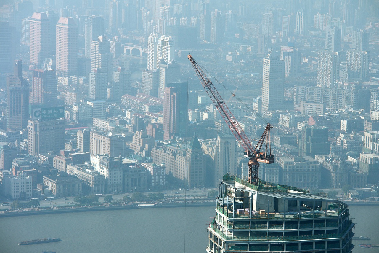 万良人参价格暴跌背后的市场波动原因及影响分析