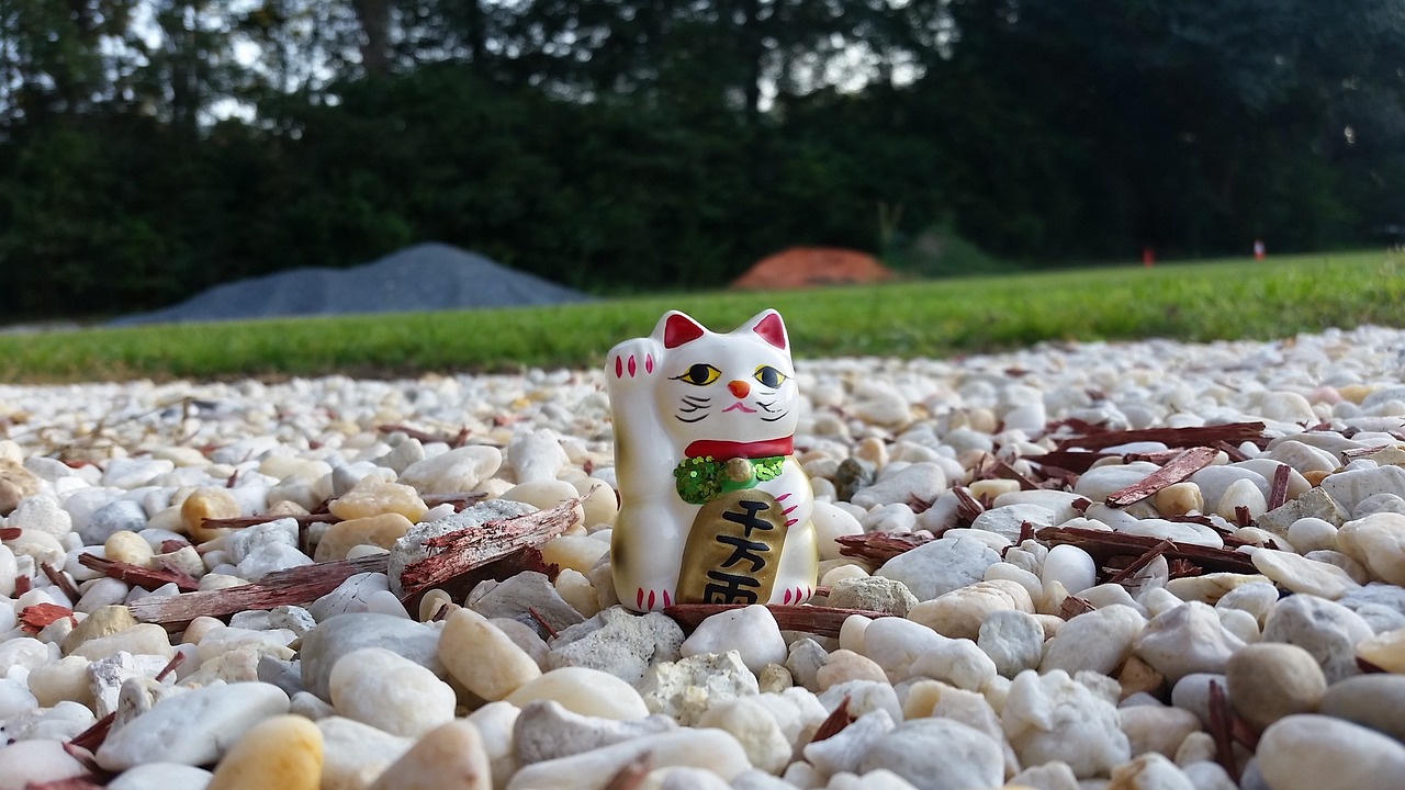 猫咪后院最新汉化版本，探索与体验的乐趣