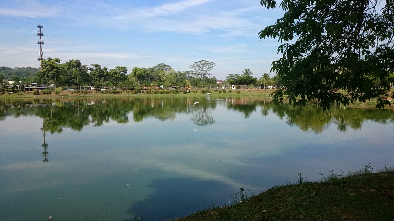 邓州市教育局最新动态全面解读