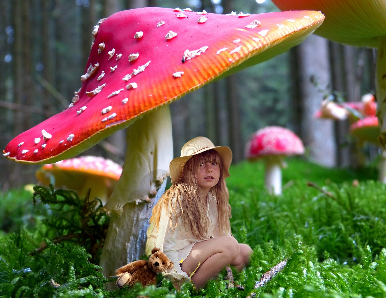 桔子妈妈最新系列故事，探索儿童教育的美好未来