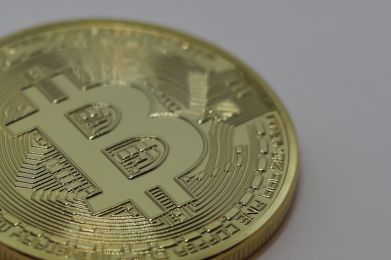 临沂今日鸡蛋最新价格分析与展望，市场动态及未来趋势解读