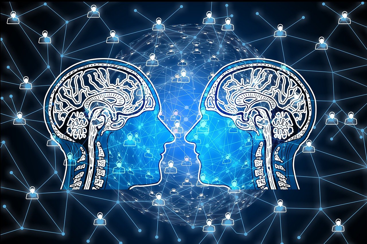 2024澳门买马最准网站，数据分析与科学解读_媒体宣传视角AN72.81.88