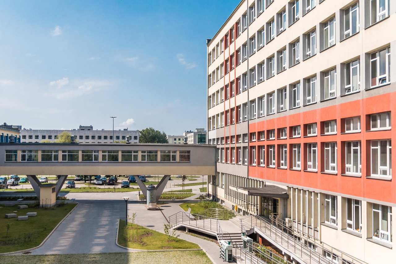 幼儿园最新教学，探索与创新的教育之路
