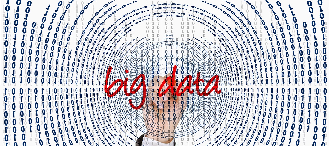 2024新澳门今晚开特马直播，数据收集方案_简版XSL366.545.38