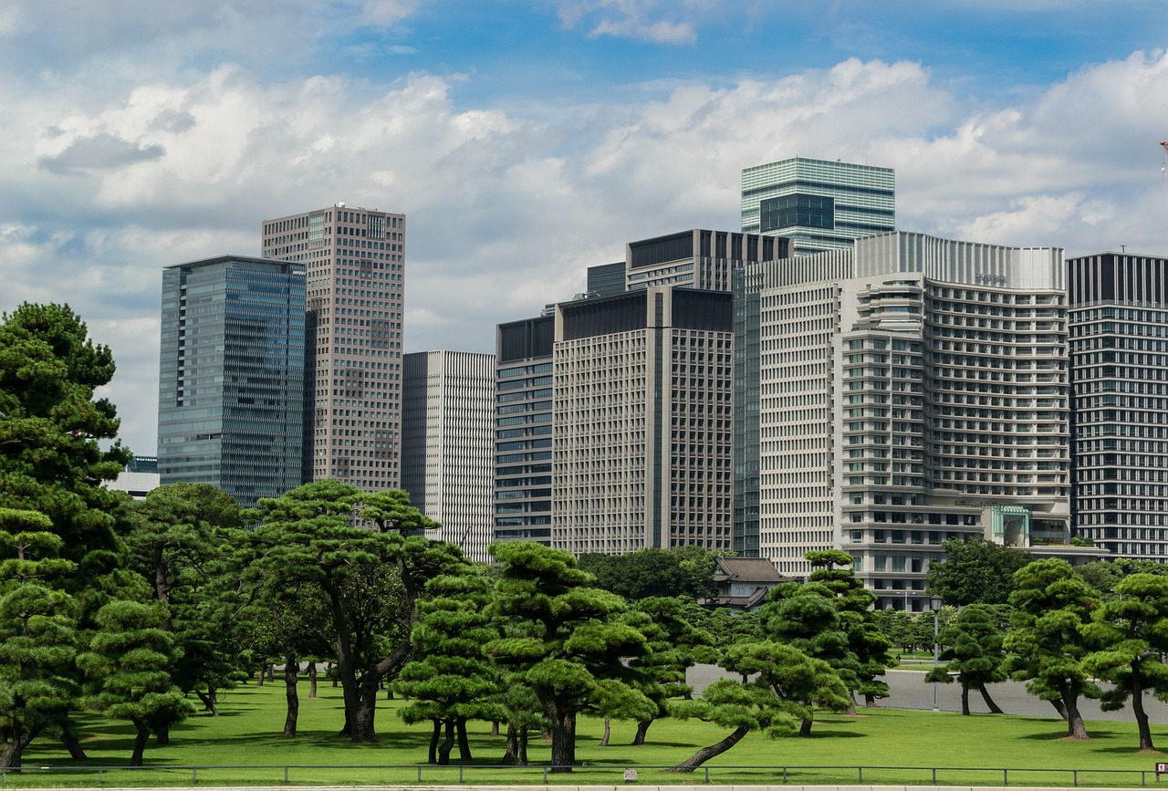 钦州新任市委书记，引领城市发展的新时代领航者