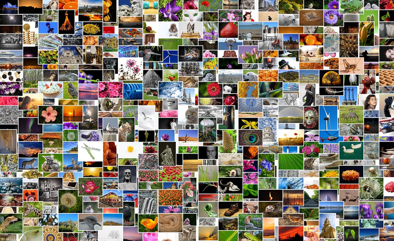600图库大全免费资料图2024,可信赖执行方案_服务器专用版VR140.097