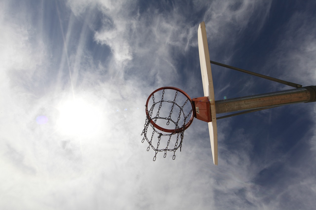 NBA明星头像，篮球世界的璀璨星辰风采