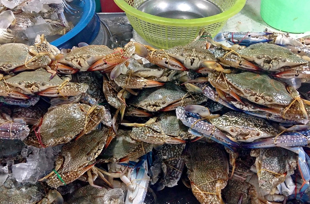 新鲜海鲜店名称推荐，品味海洋美味的盛宴