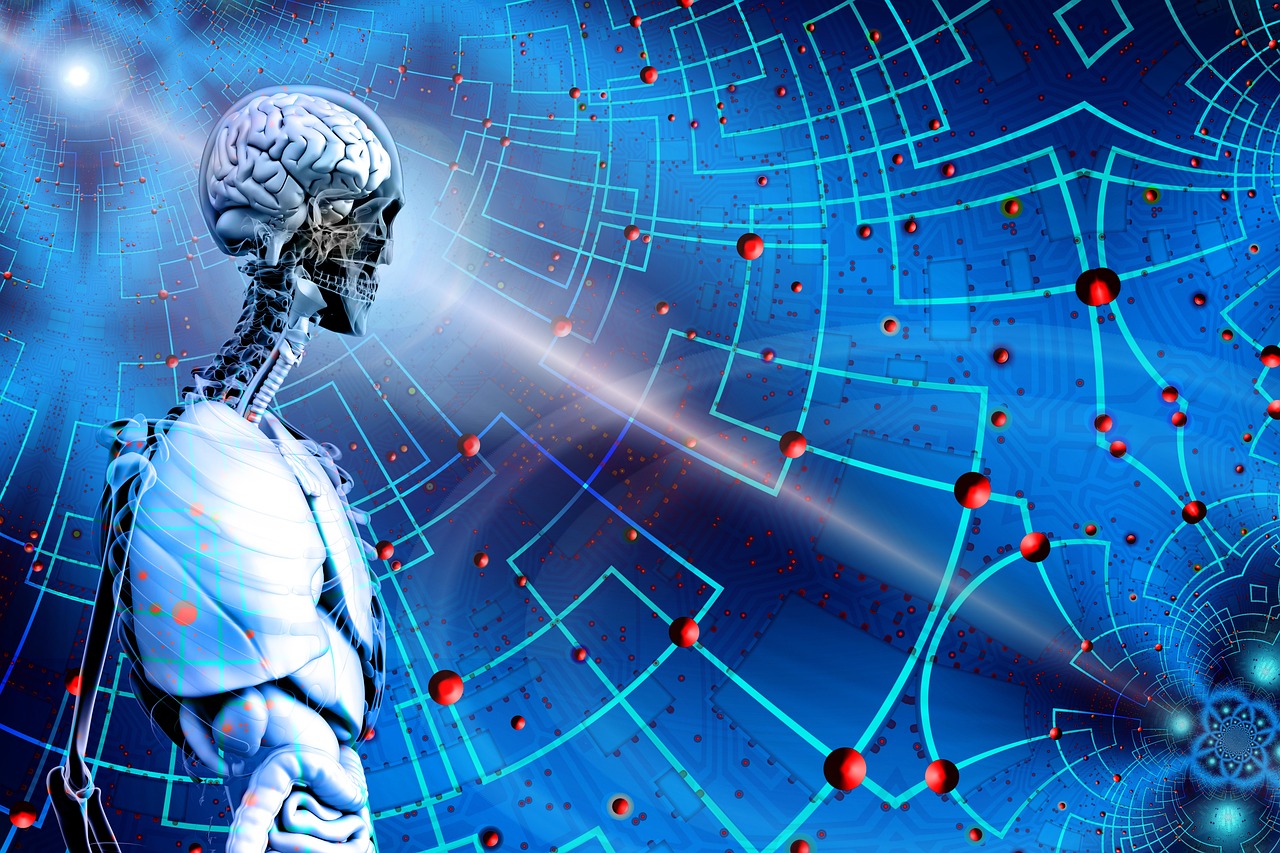 2024新奥正版资料免费,科学数据解读分析_革新之路65.97.84