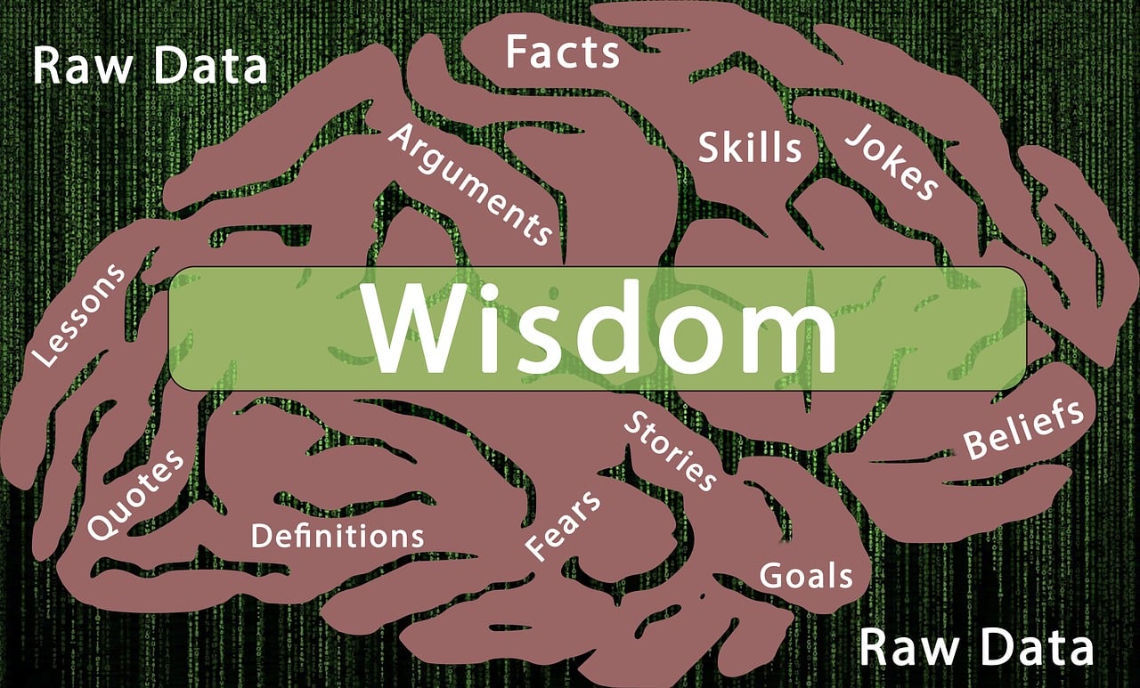 梦境中的震撼与现实思考，明星离世引发深思