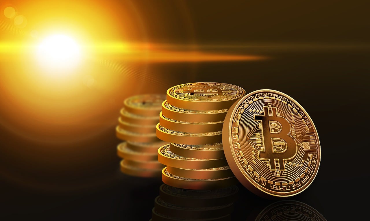 高粱价格分析揭秘，市场行情与每斤价格多少？