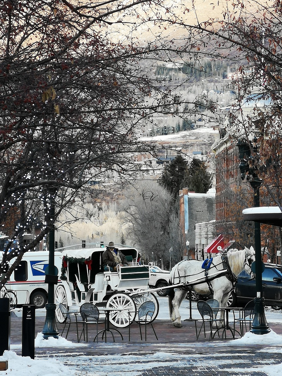 长春雪景惊艳，雪落满城如诗如画