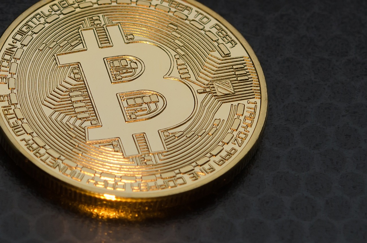 鲨鱼币交易行情价格表深度解析与实时动态监测