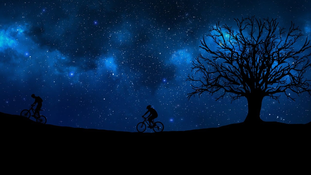 东北明星，璀璨光影之旅的闪耀之星